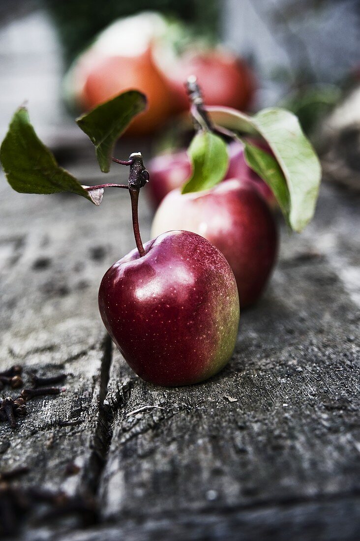 Red apples with stalks and leaves