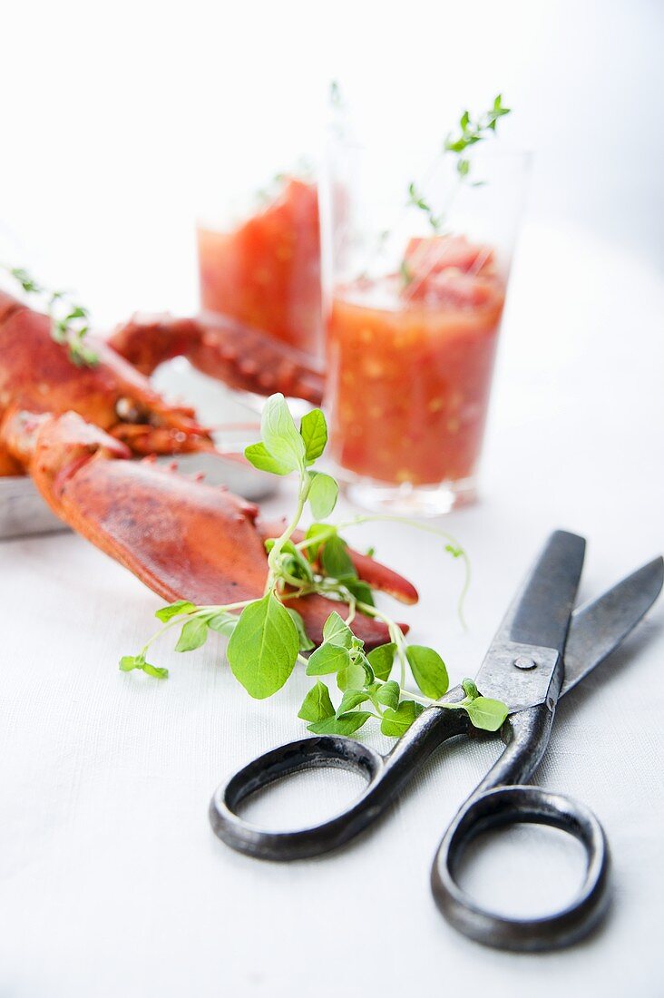 Gekochter Hummer, Tomatensauce, Kräuter und Schere