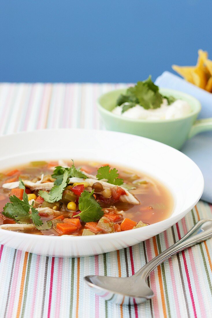 Vegetable soup with chicken and fresh coriander (Mexico)