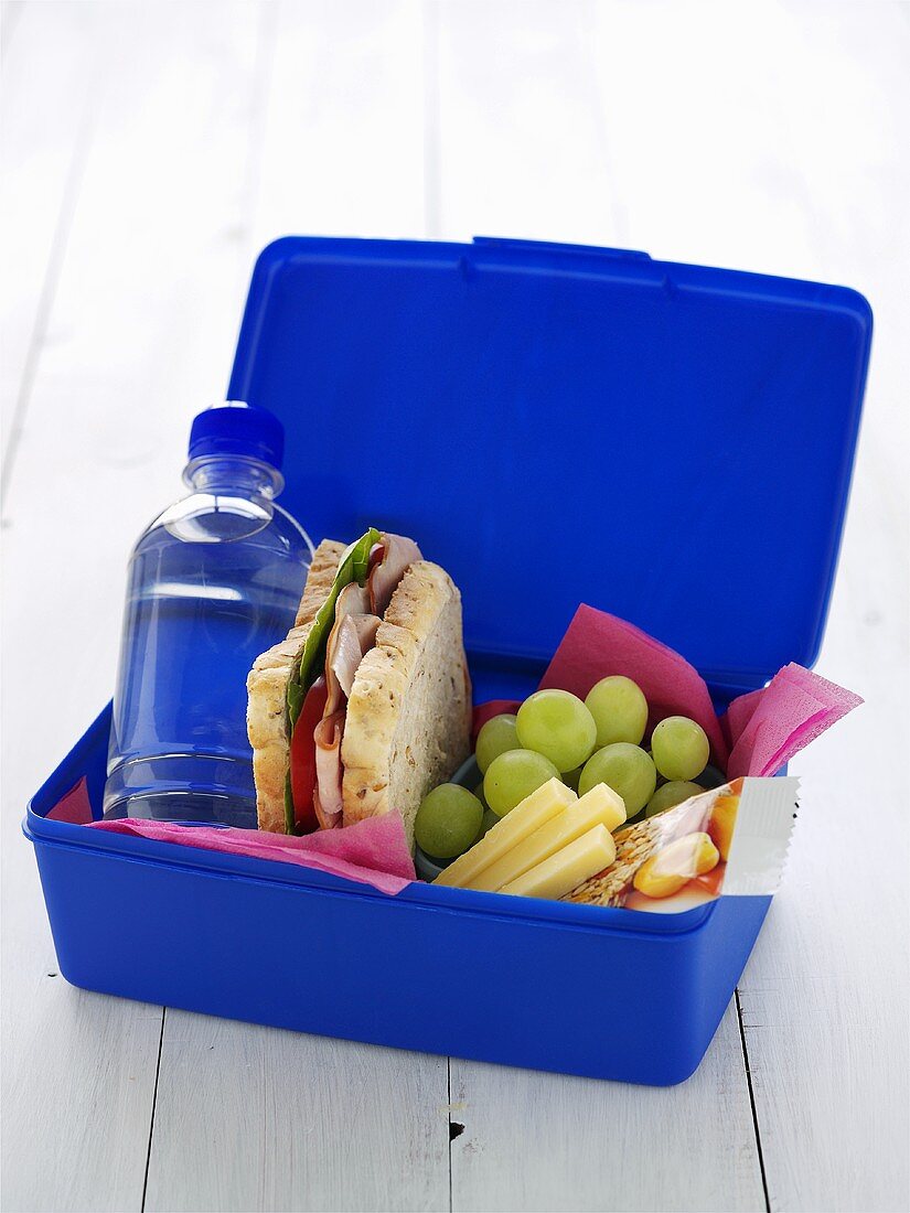 Lunchbox für die Schule (Sandwich, Trauben, Getränk, Käse, Riegel)