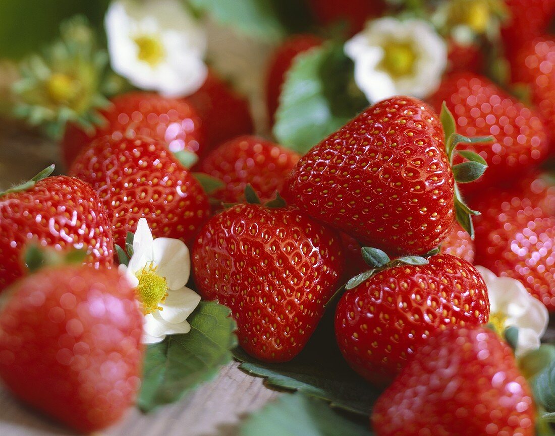 Strawberries, variety 'Fragaria x ananassa Pavana'
