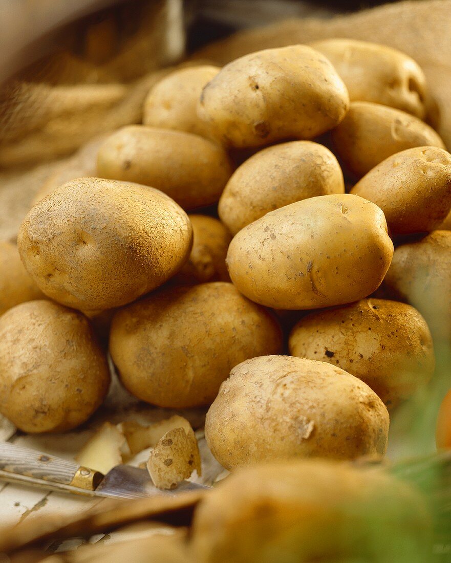 Potatoes, variety 'Doré'