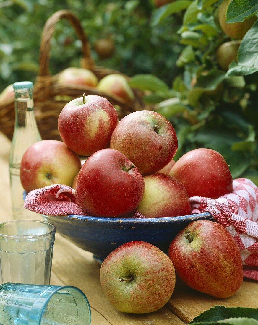 Apples, variety 'Katja'