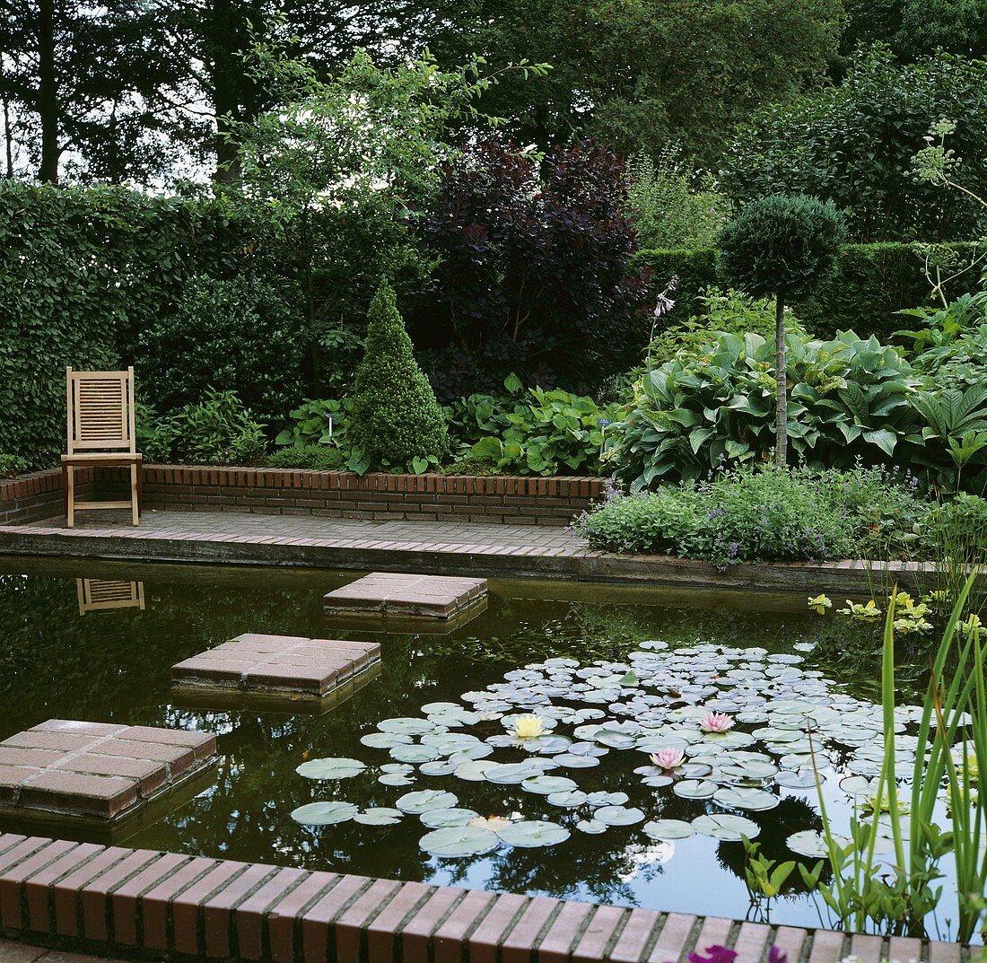 Ornamental garden with pond and aquatic plants