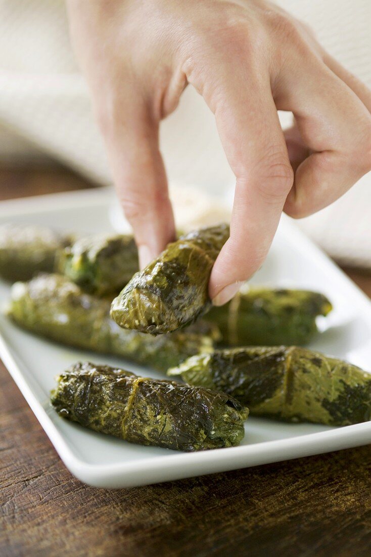 Broad-leaved dock leaves stuffed with rice