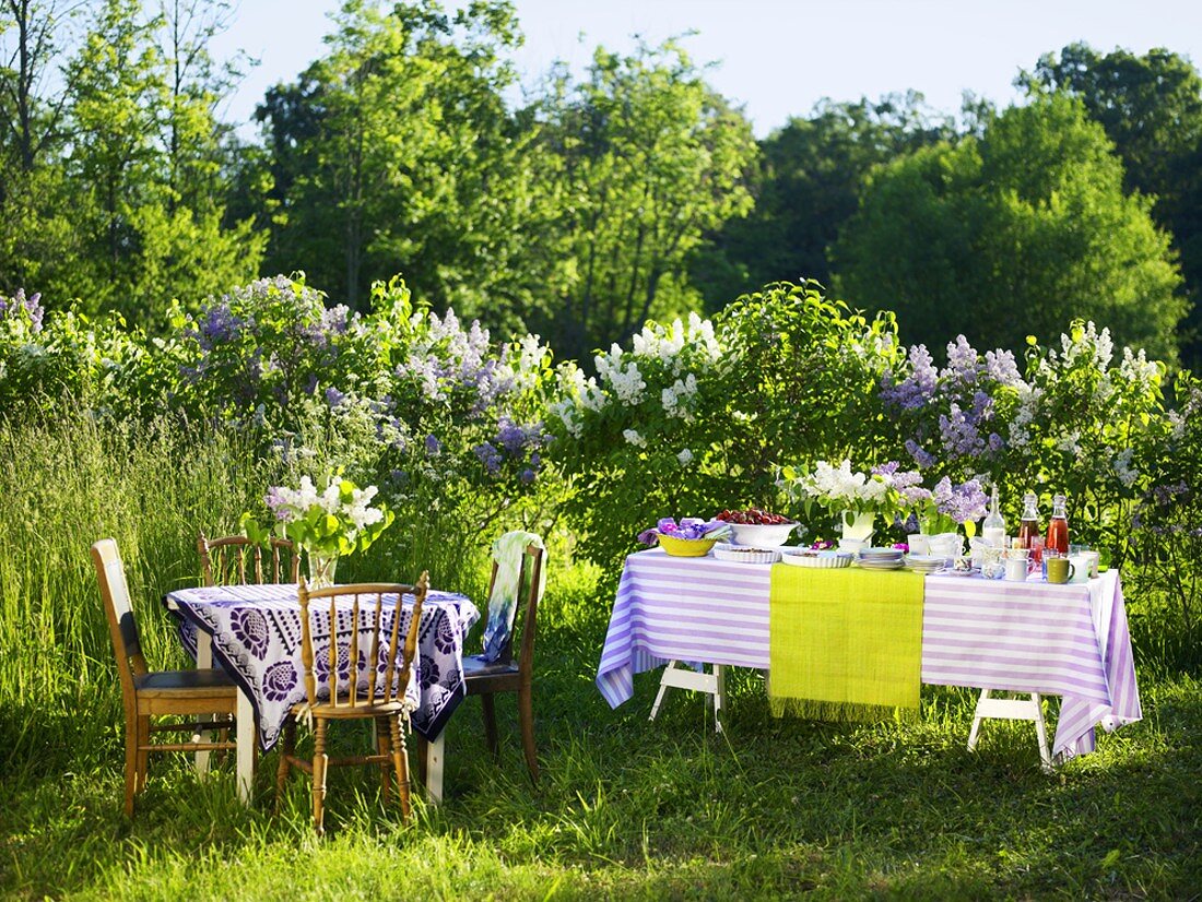 Two tables, one with dishes of food, in front of lilac bushes