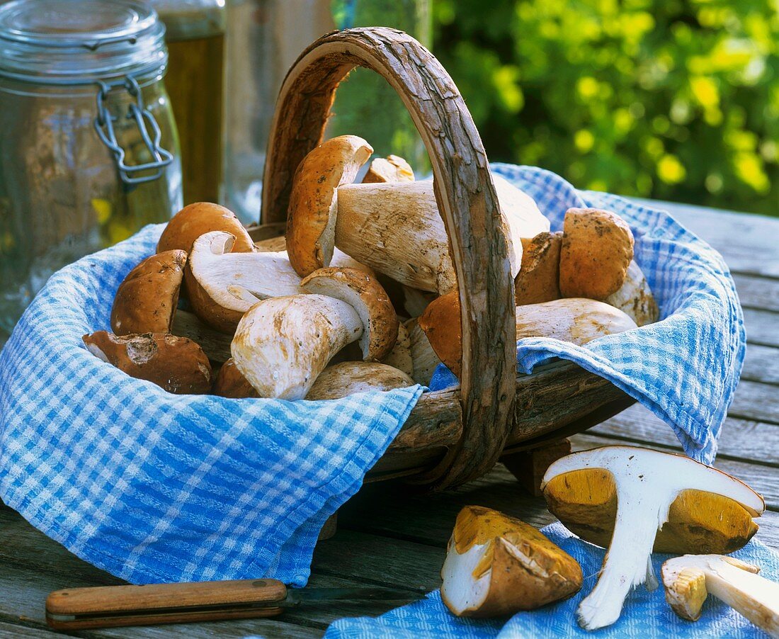 Korb mit frischen Steinpilzen