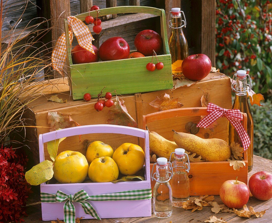 Quinces, pears & apples in wooden carriers, juice in bottles