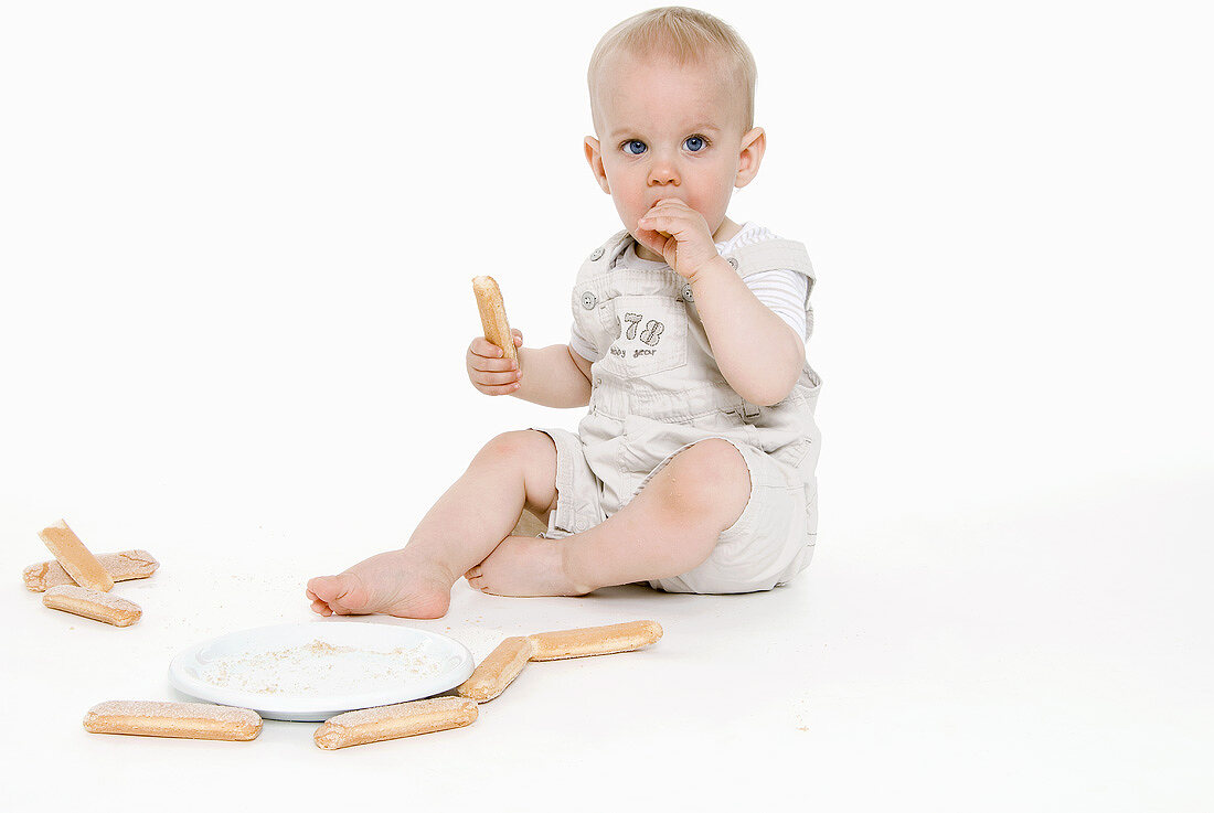 Small boy eating a sponge finger