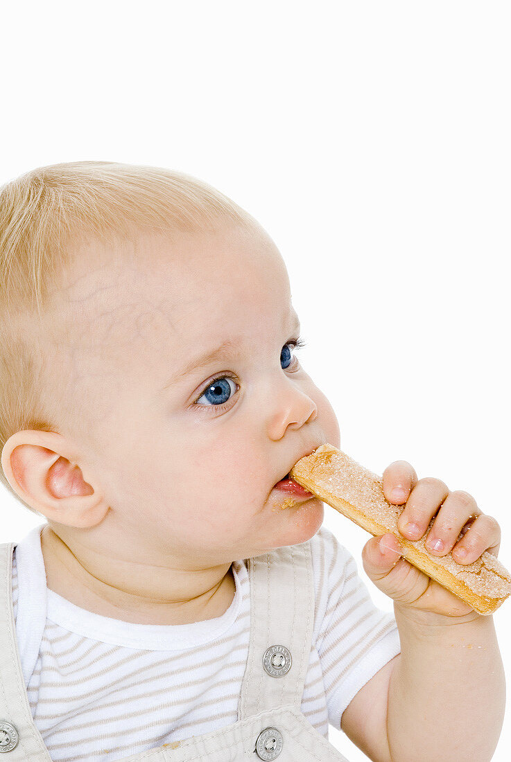 Small boy eating a sponge finger