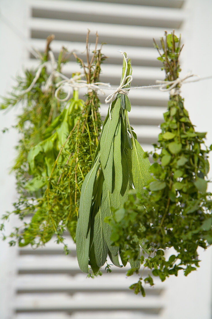 Bunches of herbs hanging up to dry