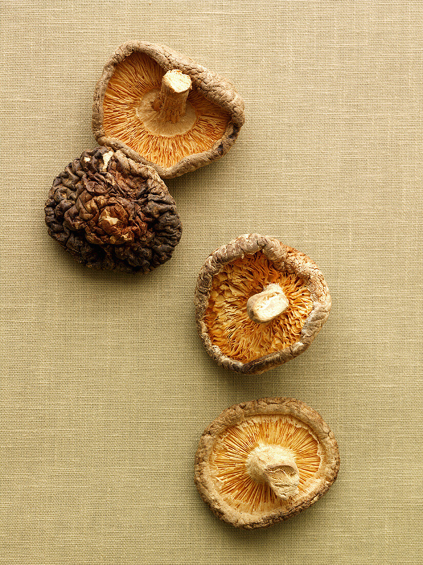 Four dried shiitake mushrooms