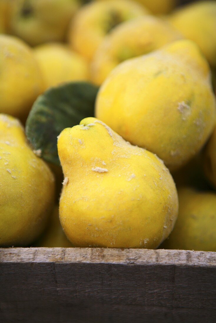 Quinces in a wooden crate