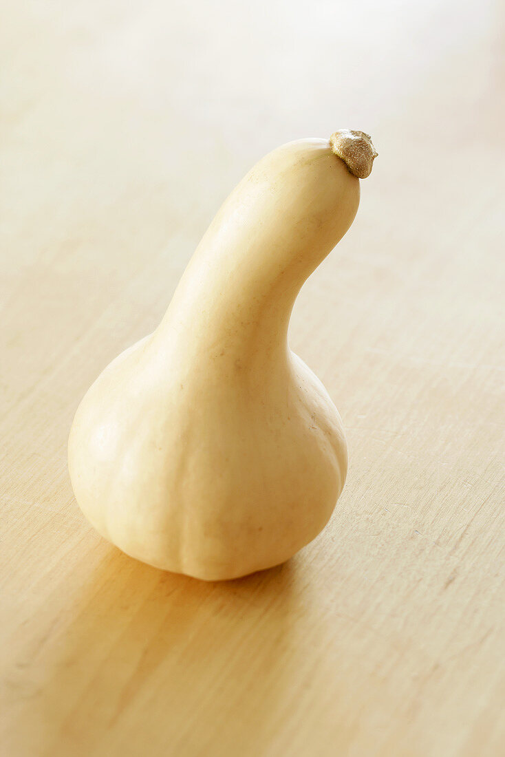 A butternut squash