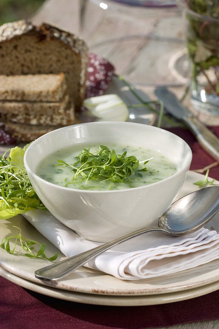 Cress soup