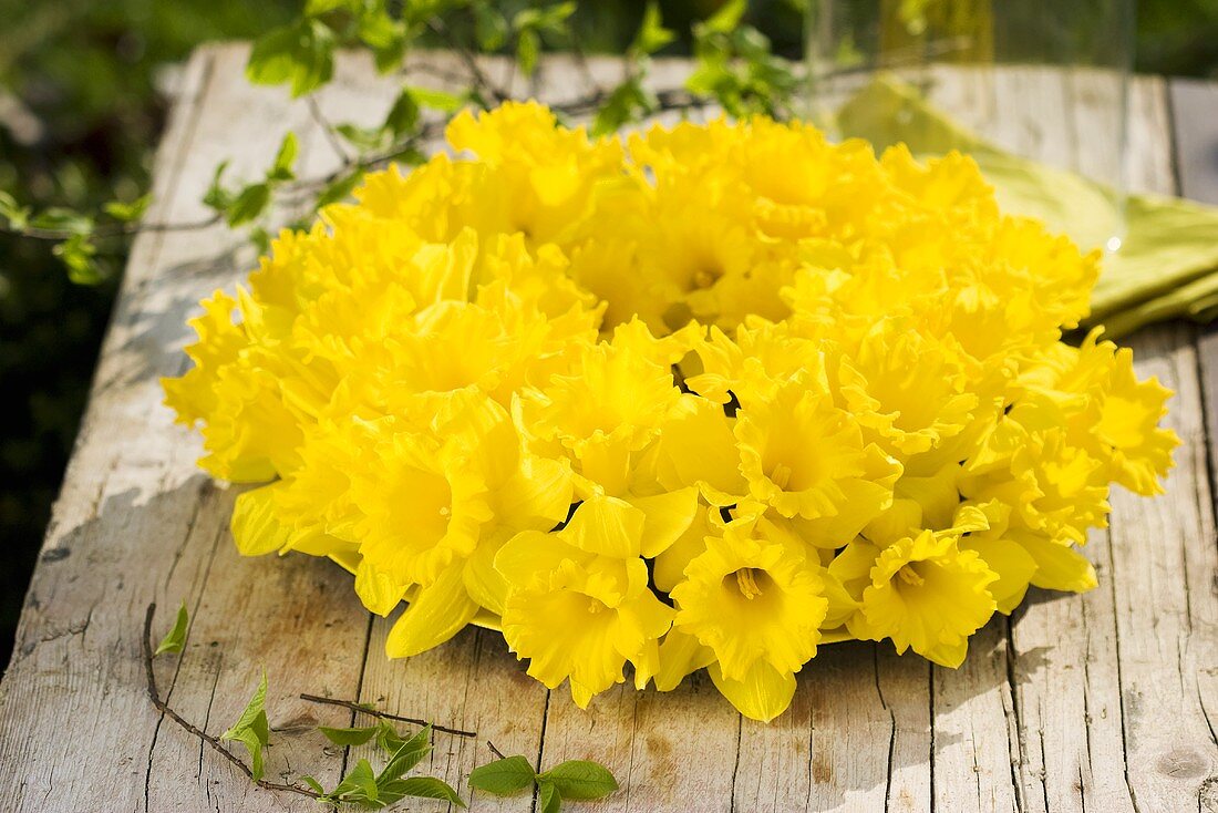 Wreath of daffodils