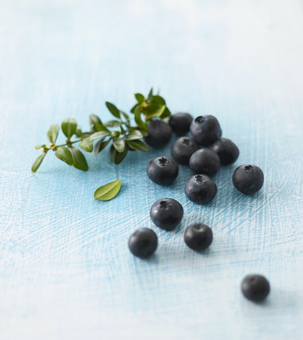 Blueberries with leaves