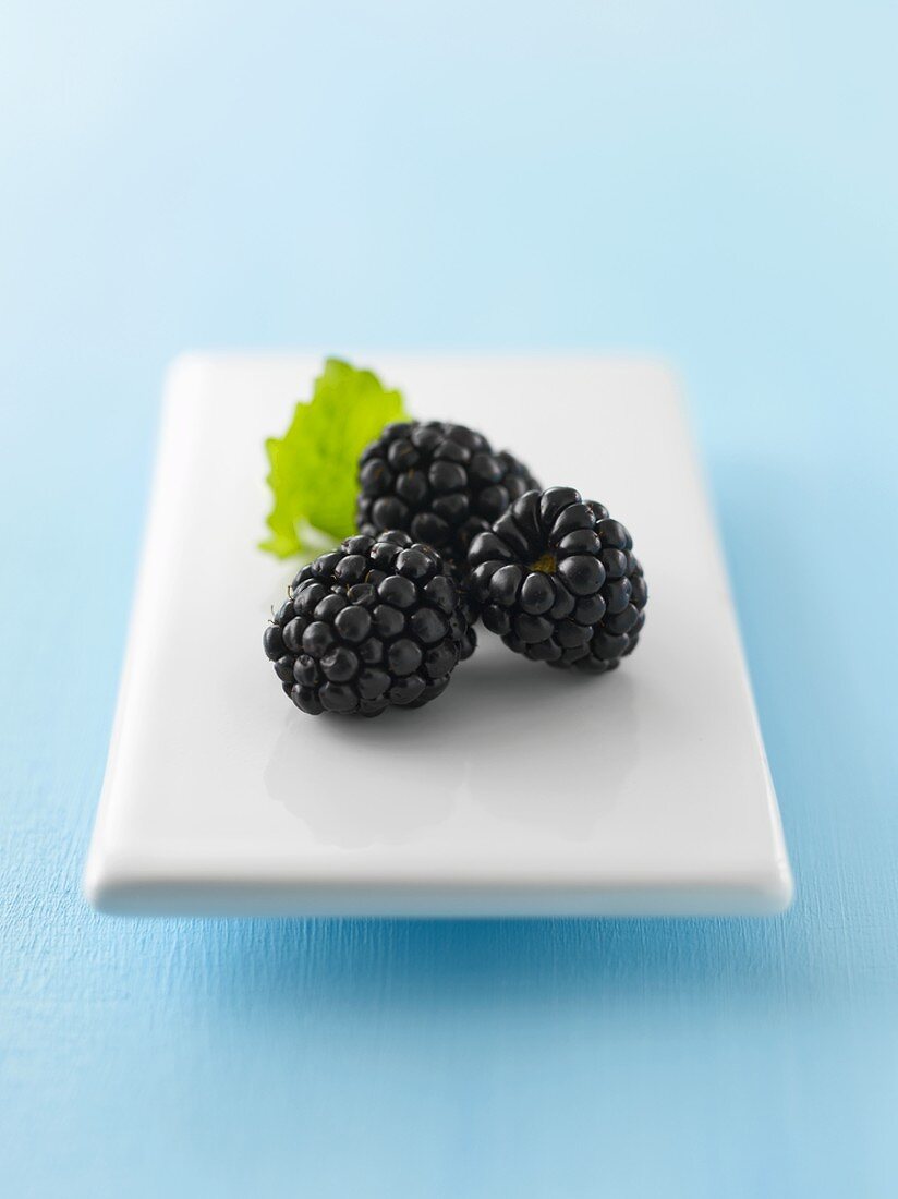 Blackberries on porcelain