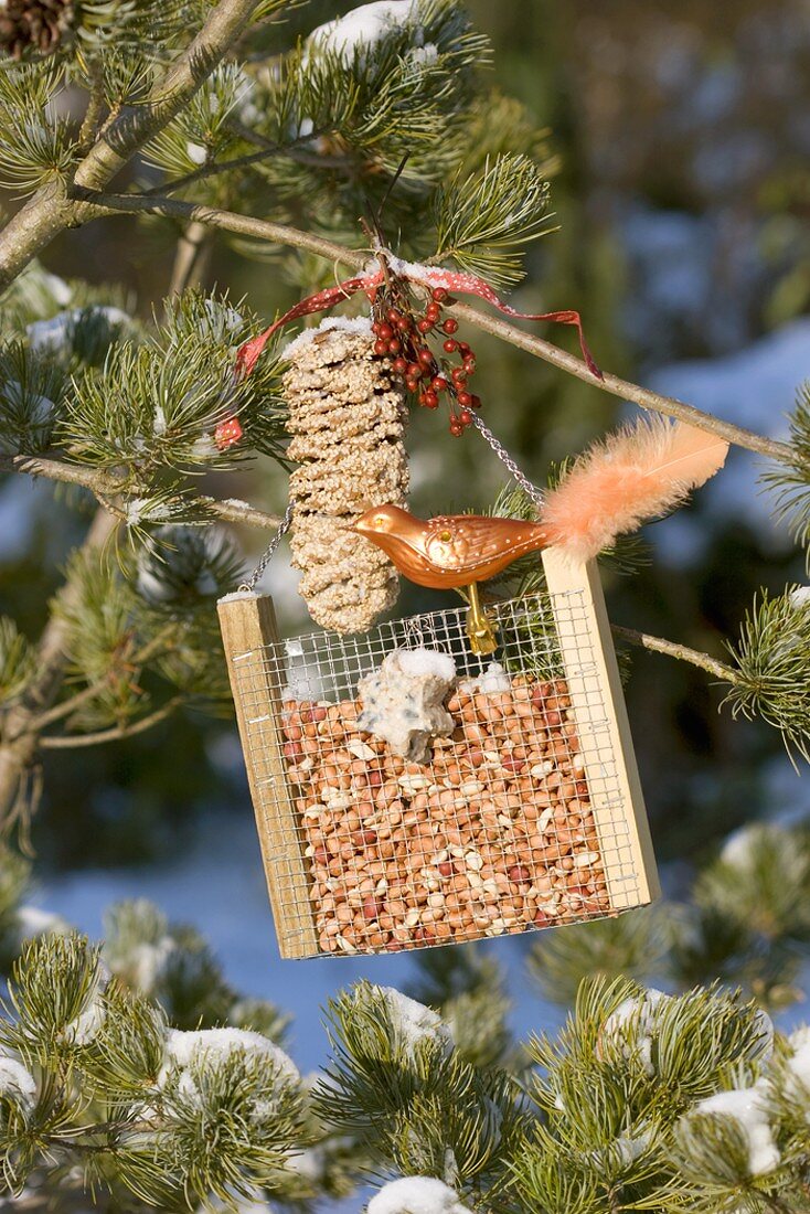Peanuts in bird feeder with glass bird on tree