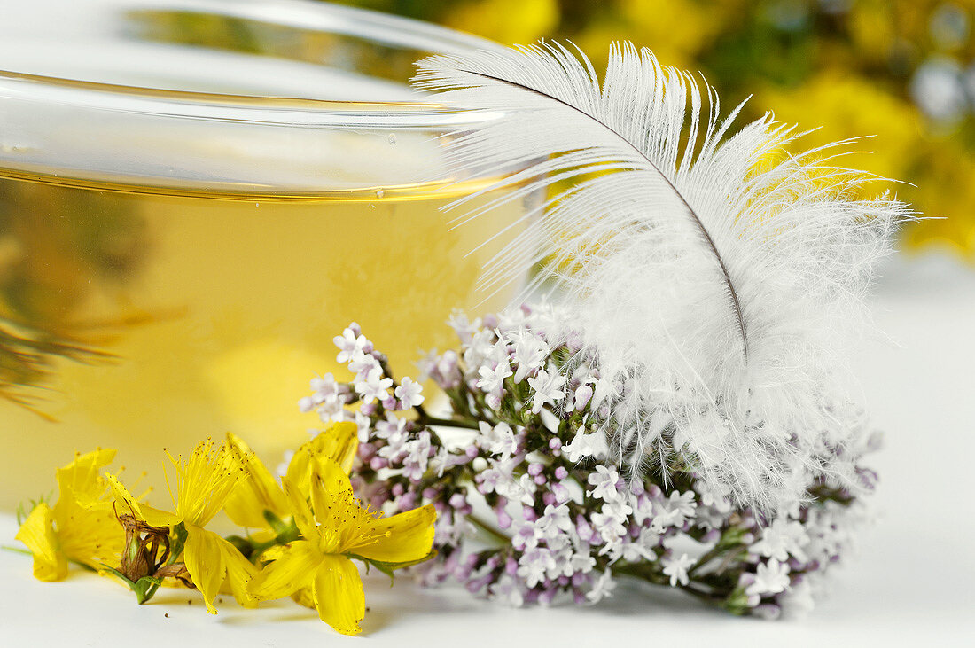 A cup of tea with valerian and St. John's wort