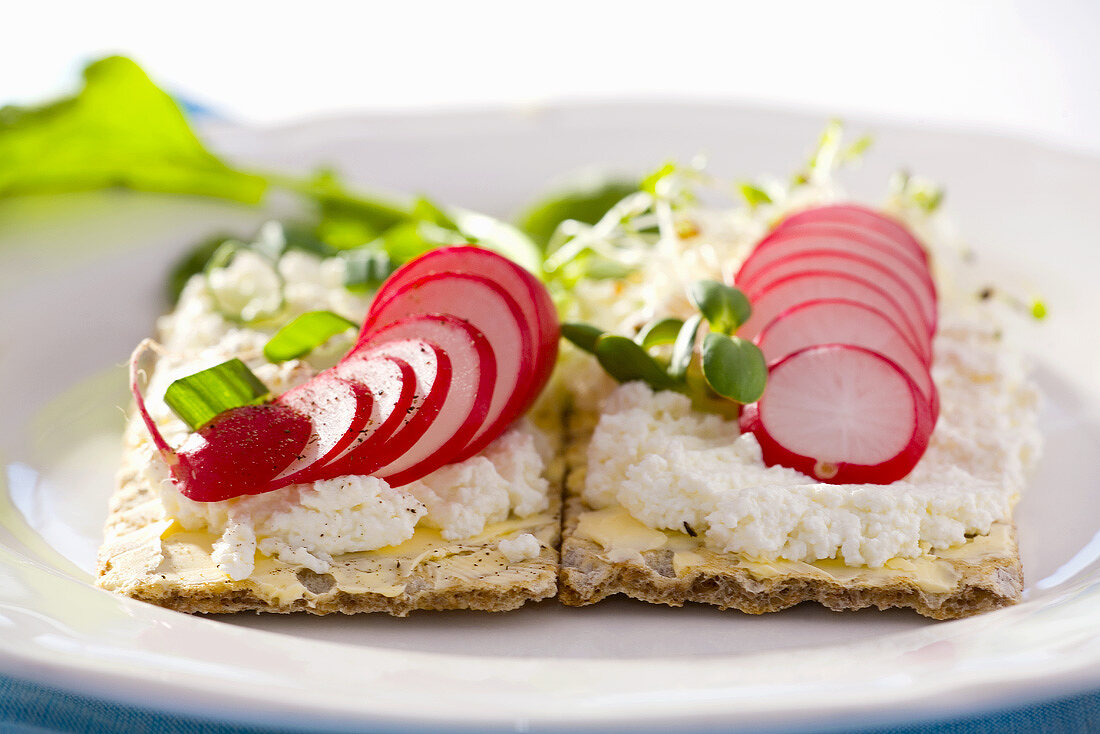 Knäckebrot mit Quark und Radieschen