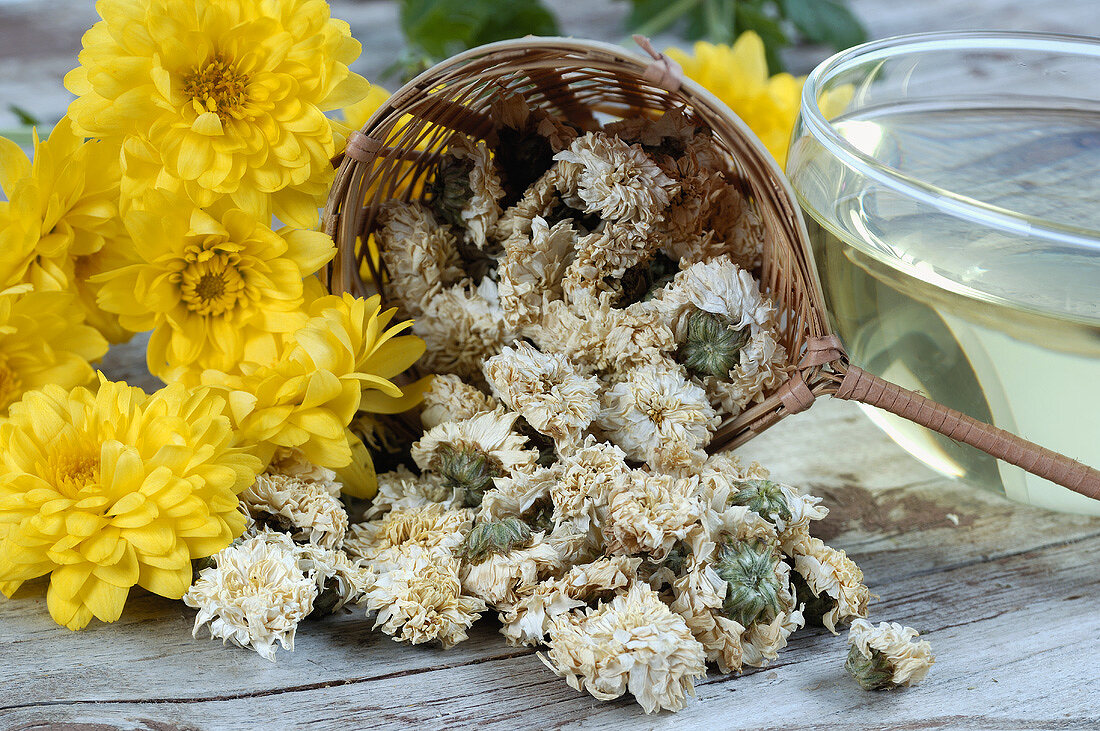 Stillleben mit Chrysanthemen und Chrysanthementee