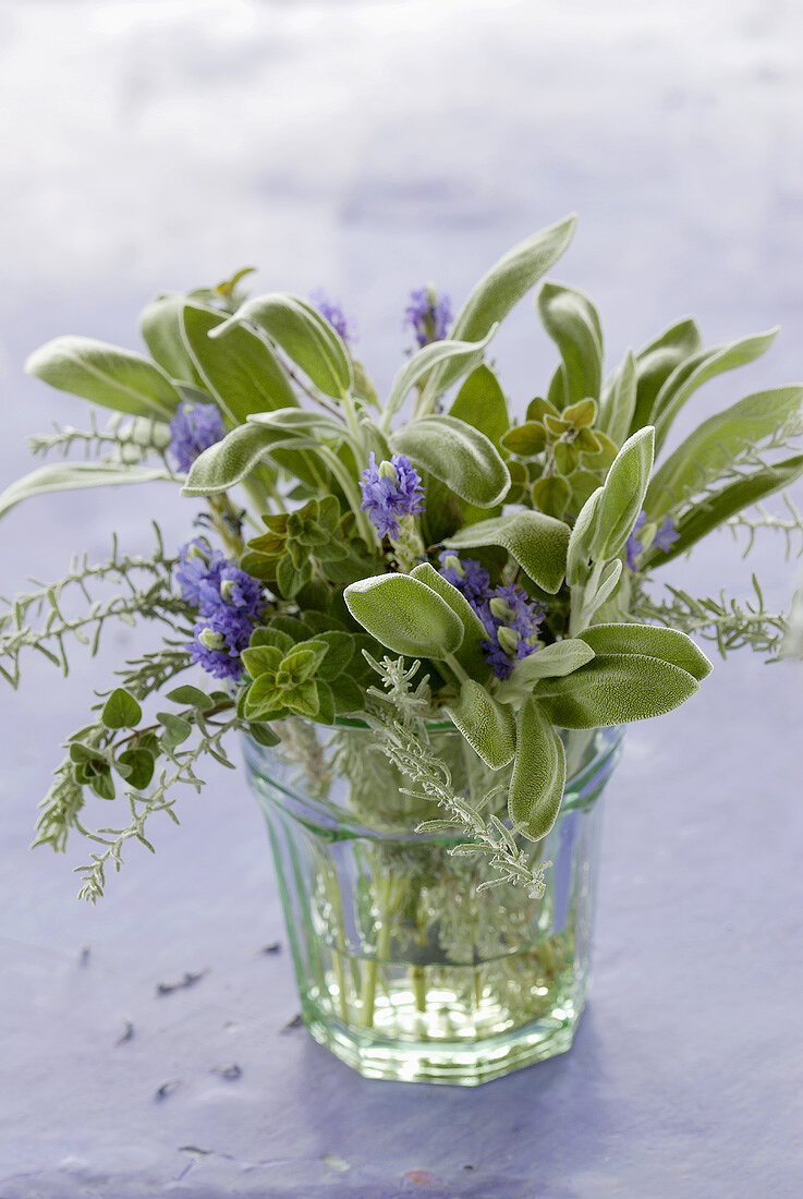 Small bunch of herbs in a glass