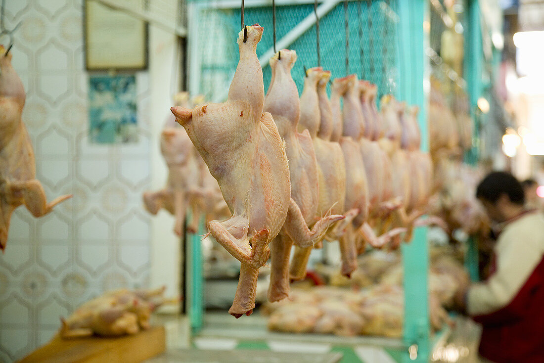 Plucked chickens on a Moroccan market stall