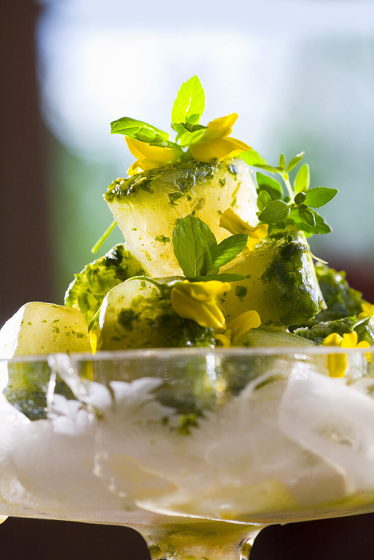 Herbs in ice cubes