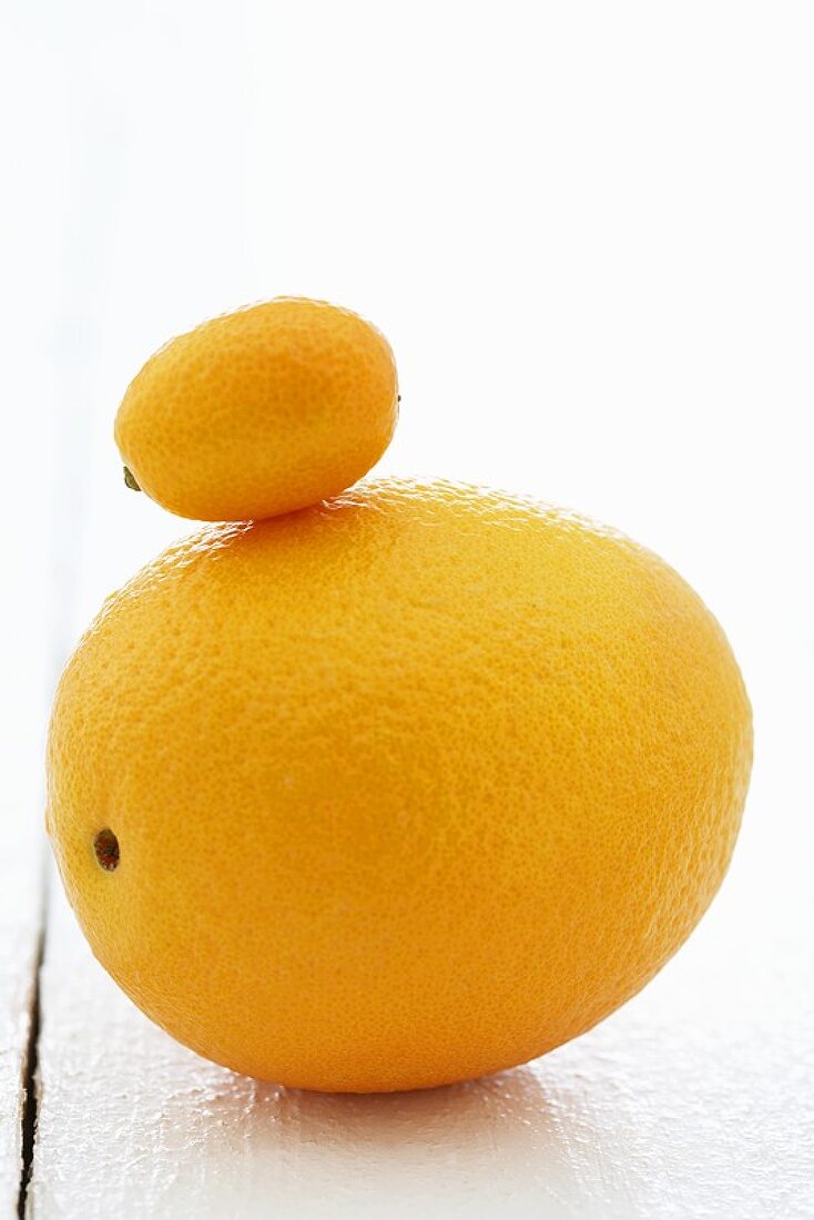 Eine Orange und eine Kumquat