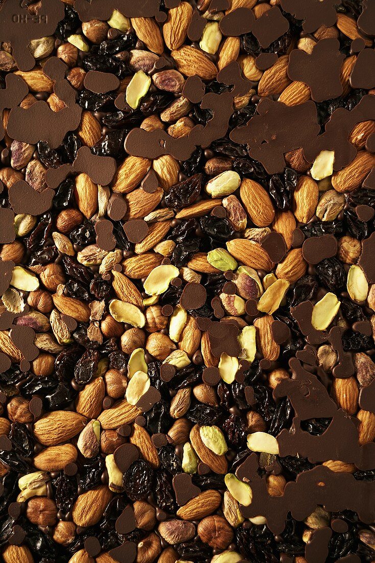 Mixed nuts & raisins in couverture chocolate (full-frame)