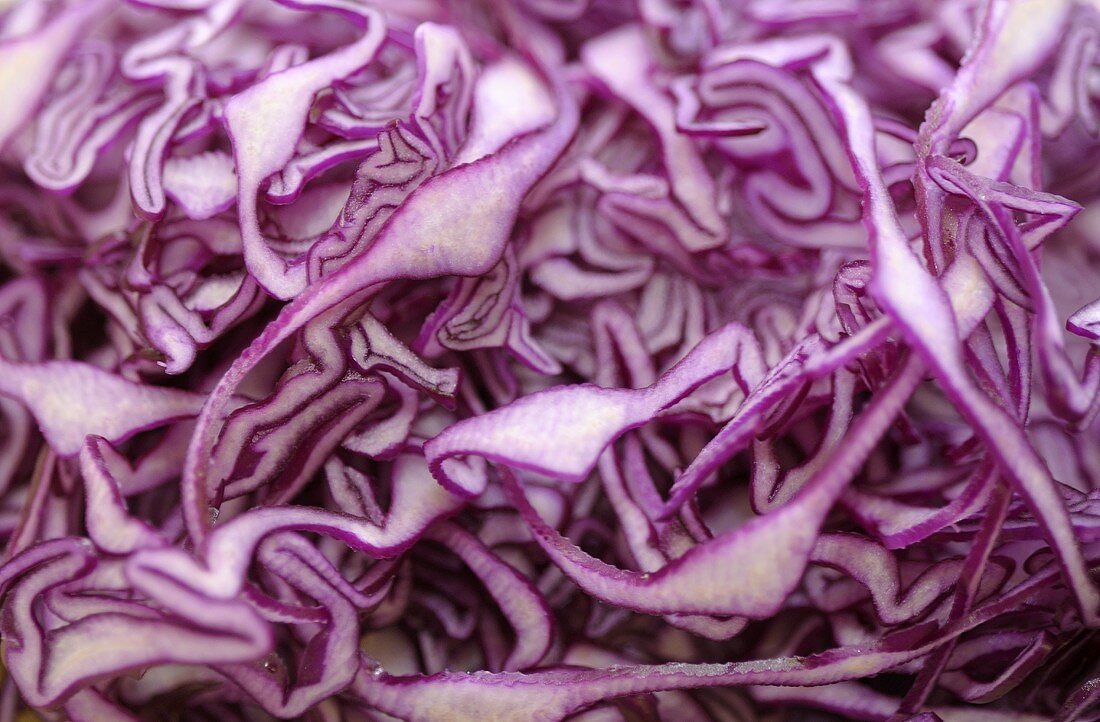 Rotkohl (Nahaufnahme)