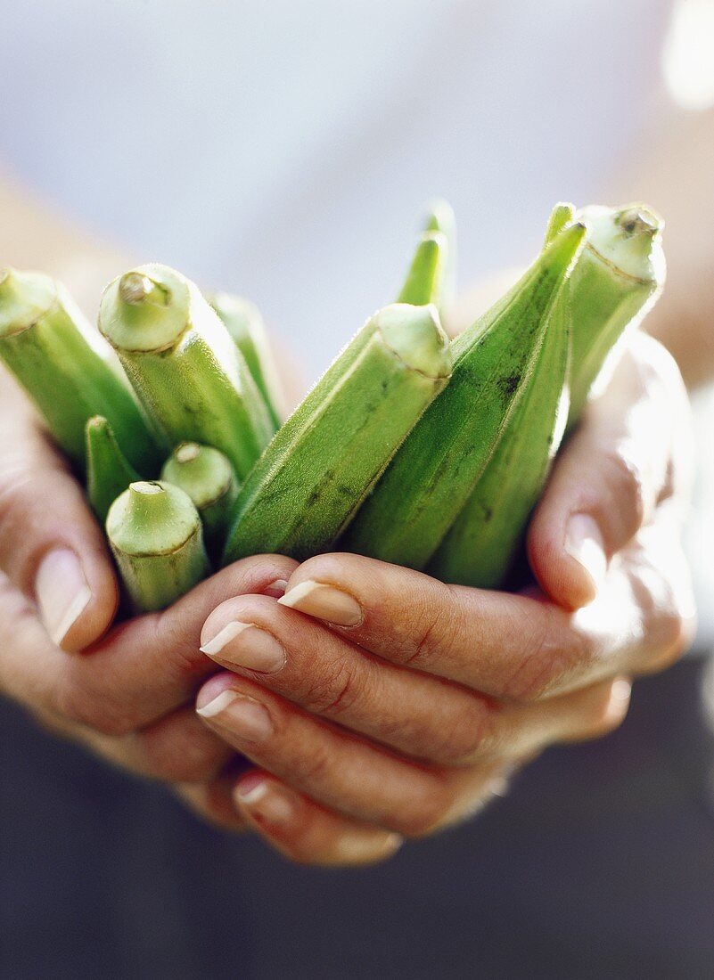 Hands holding okra