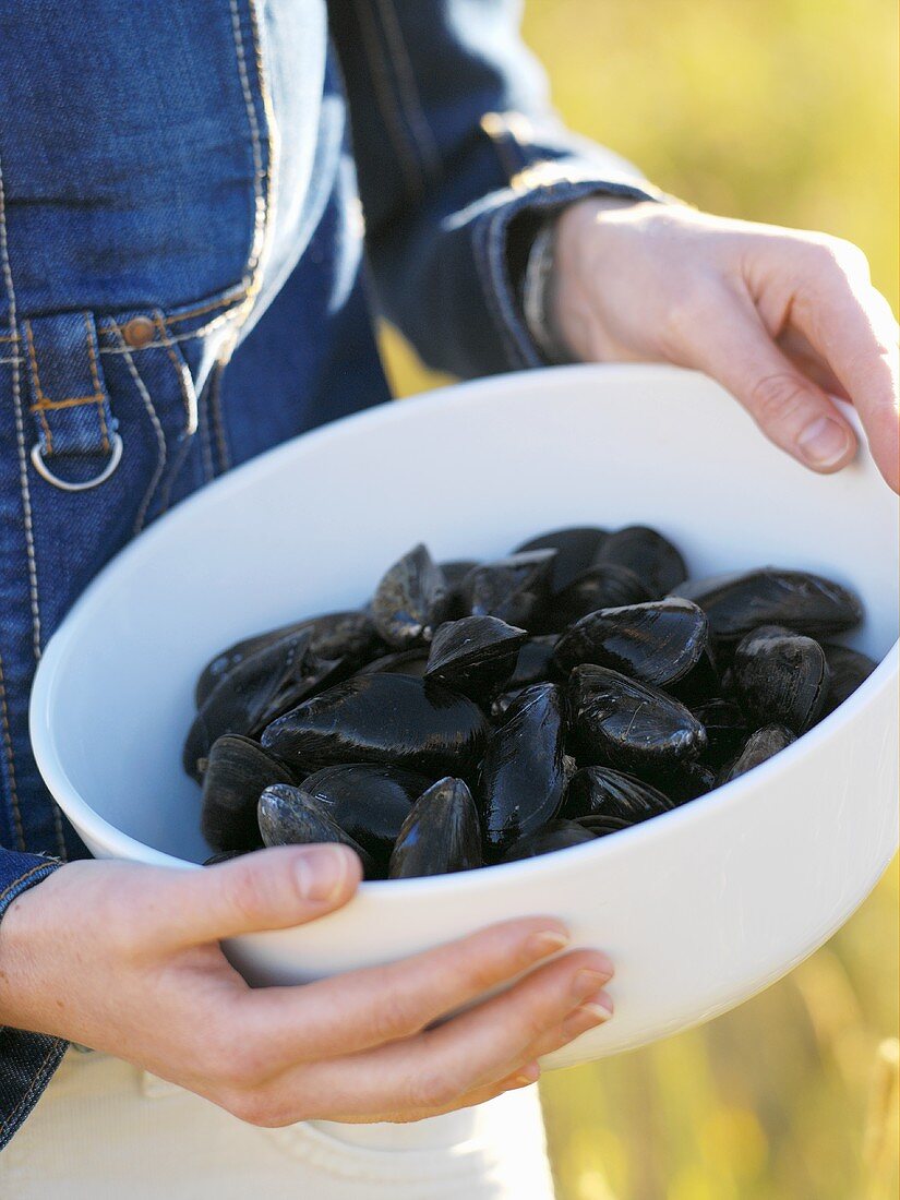 Frische Miesmuscheln in einer Schüssel