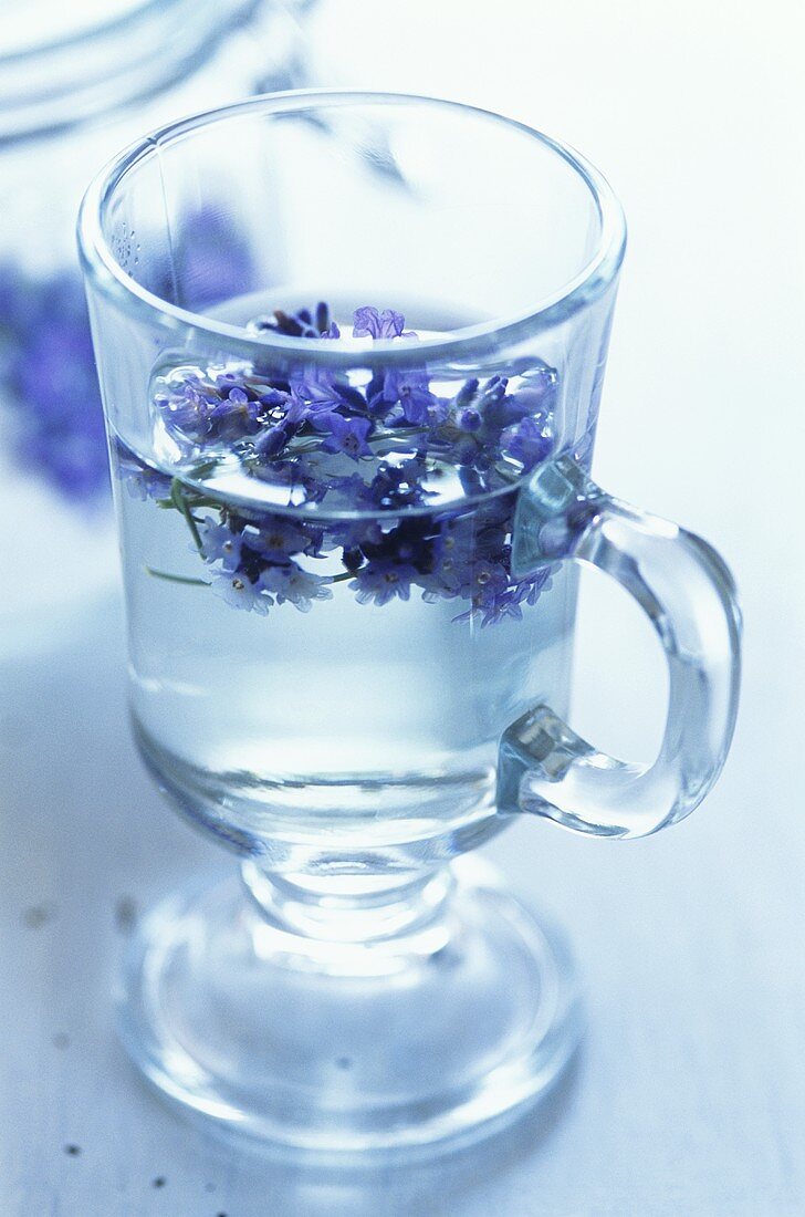 Lavender flower tea