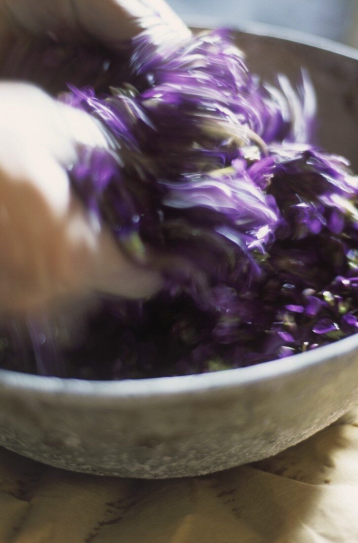 Crushing violets (for violet sugar)