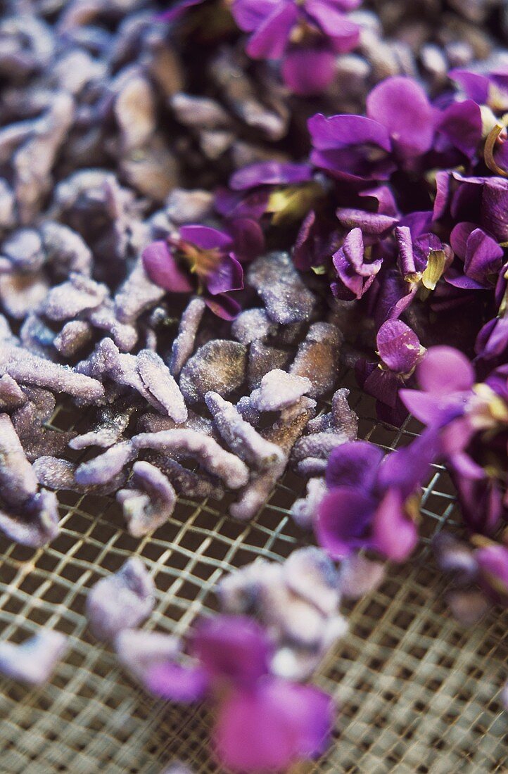 Candied and fresh violets
