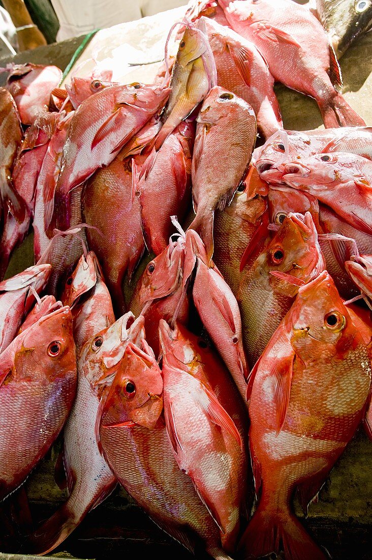Red snapper at a market in Victoria, Mahé, Seychelles