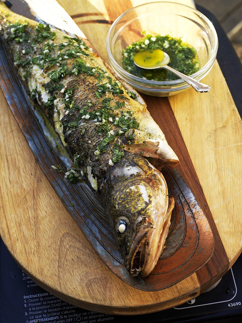 Grilled zander with lemon and herb sauce