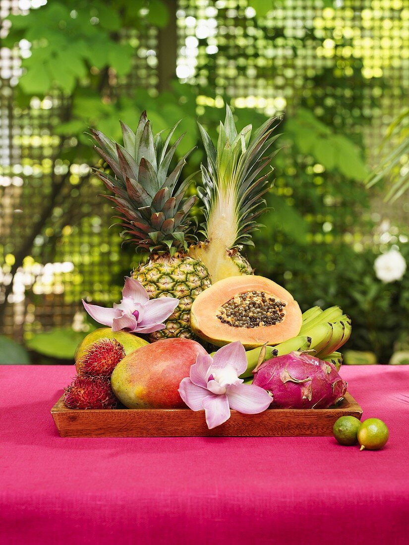 Still life with exotic fruit and orchids