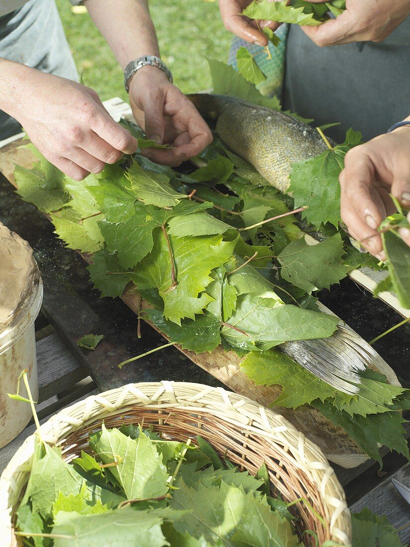 Covering fish with vine leaves