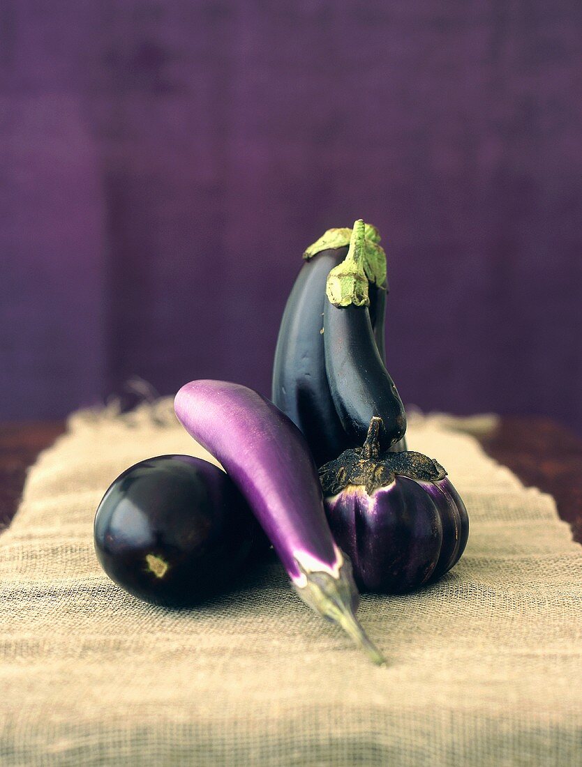 Various types of aubergines