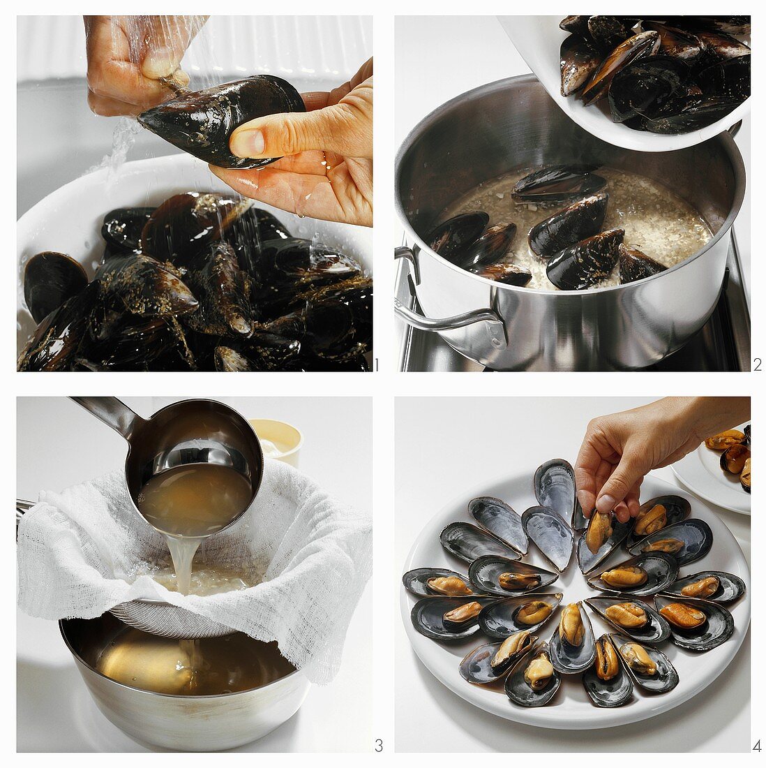 Preparing and cooking mussels & arranging them on a plate