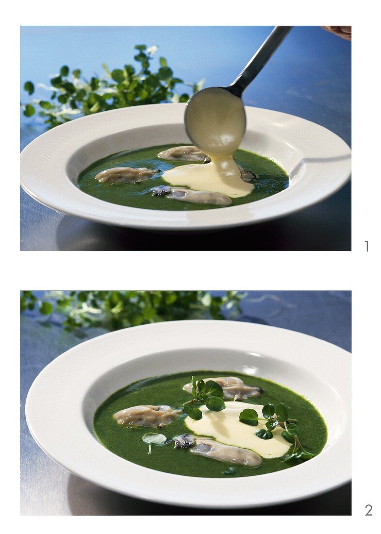 Oyster ragout in cress sauce