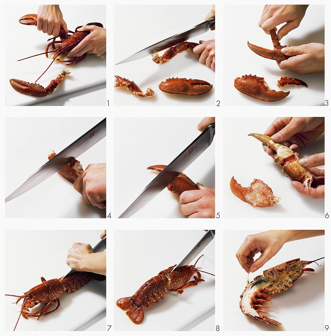 Cutting up a cooked lobster