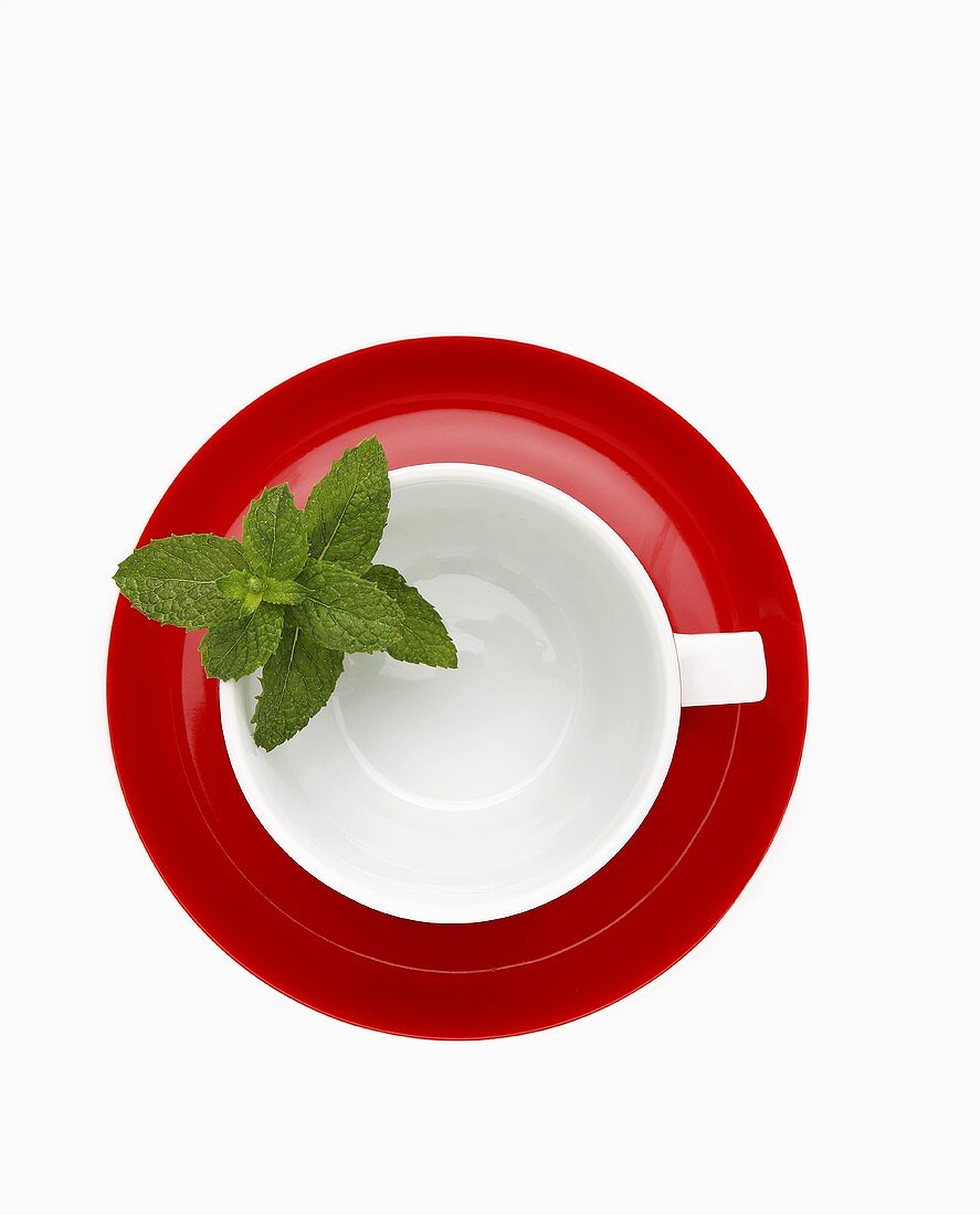 weiße Teetasse mit Minzblättern und roter Untertasse