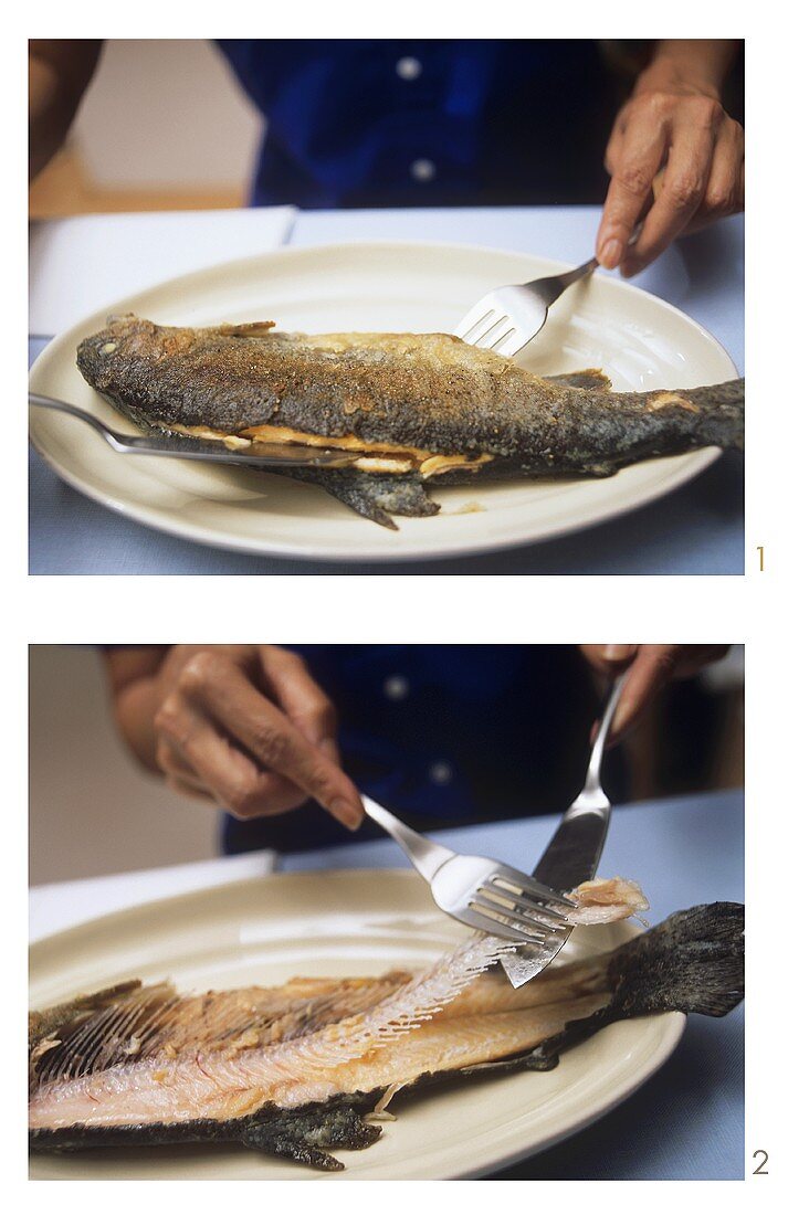 Filleting a trout