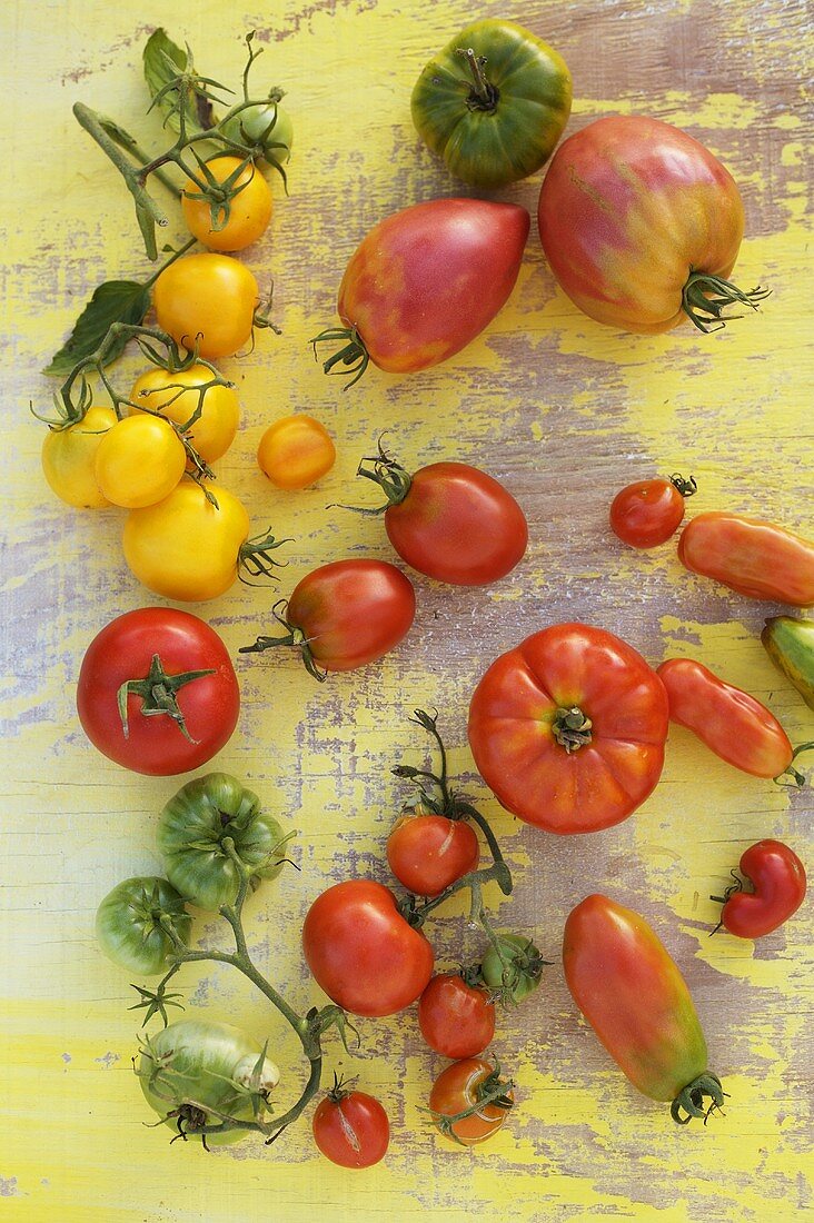 Various types of tomatoes