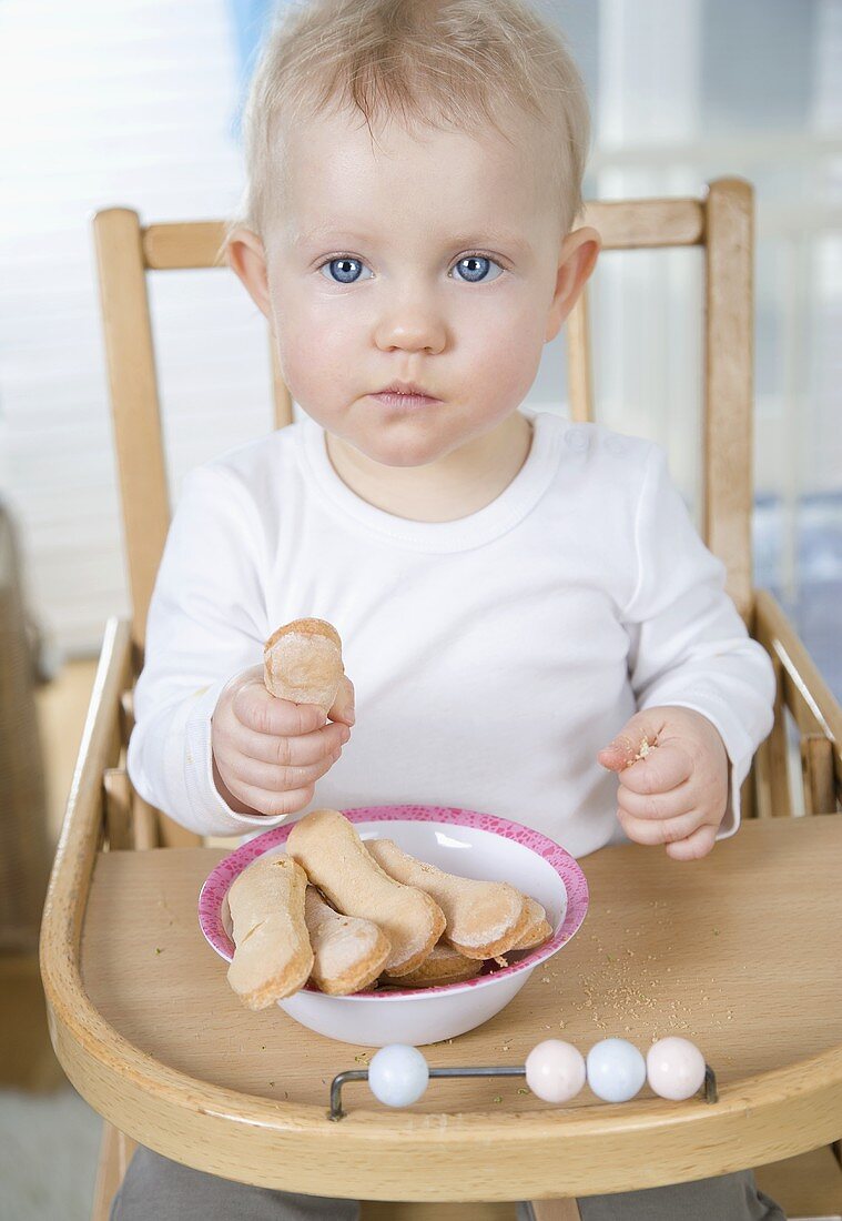 Kleines Kind sitzt im Kinderstuhl und isst Löffelbiskuit