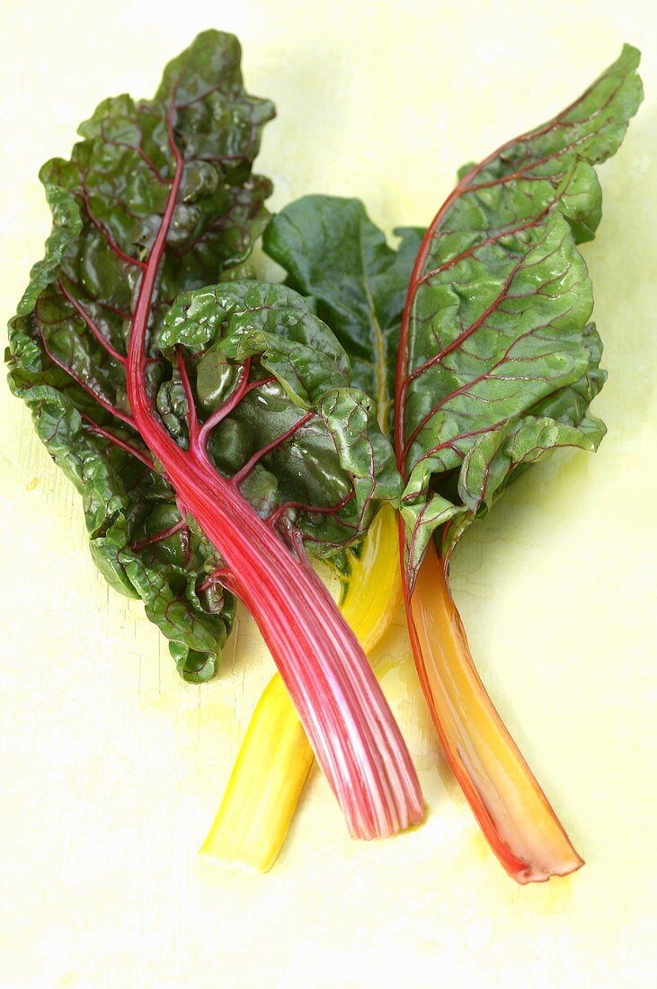 Various types of chard